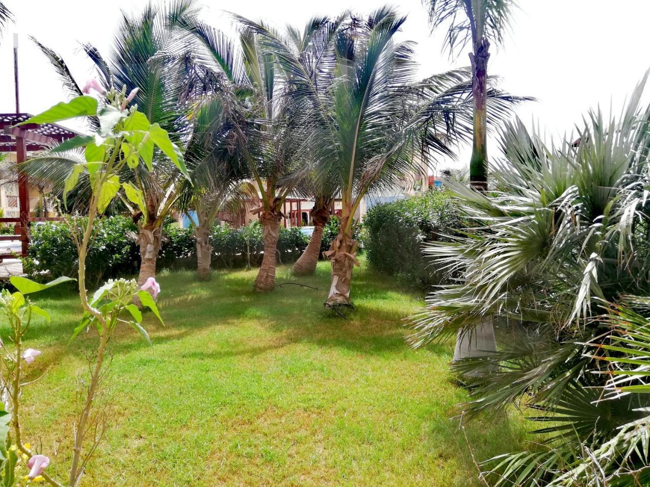 Apartment | In Tropical Resort | Pool | Close To Beach Santa Maria Exterior photo